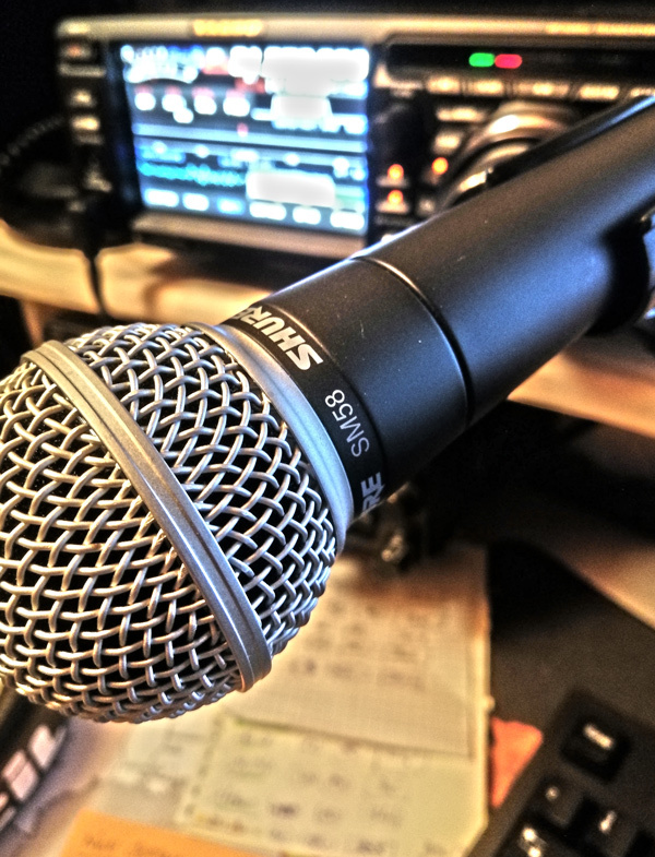 SHURE SM58 Professional Microphone